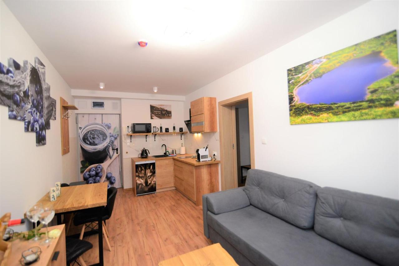 Apartament De Luxe Emily Karpacz Buitenkant foto